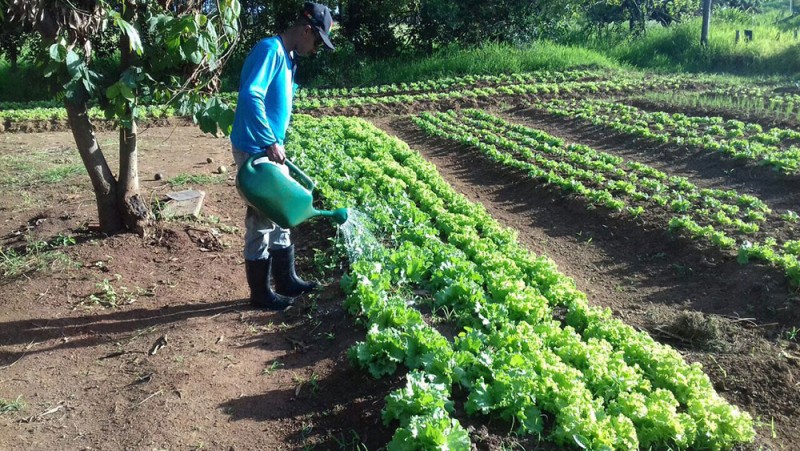 Granja Mauá passa por reestruturação