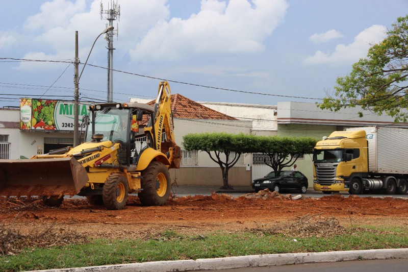 Prefeitura esclarece corte das árvores “Fícus benjamina”