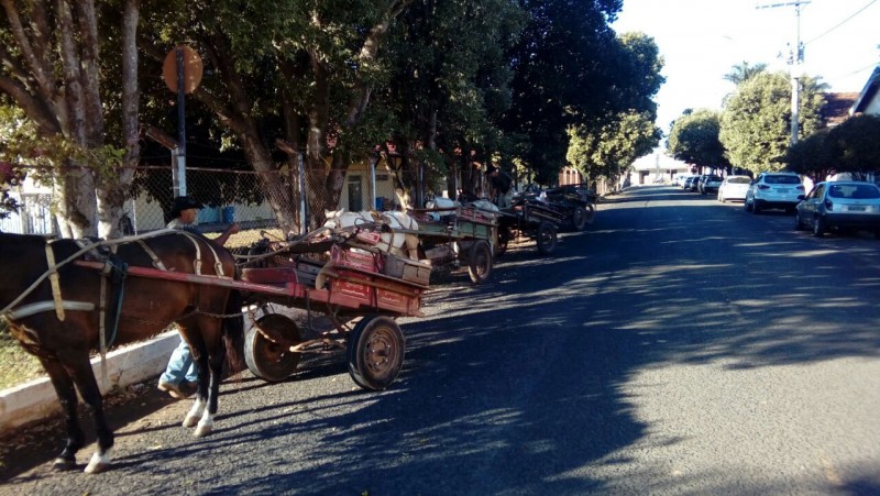 Prefeitura promove reunião com carroceiros para discutir alternativas de trabalho para categoria