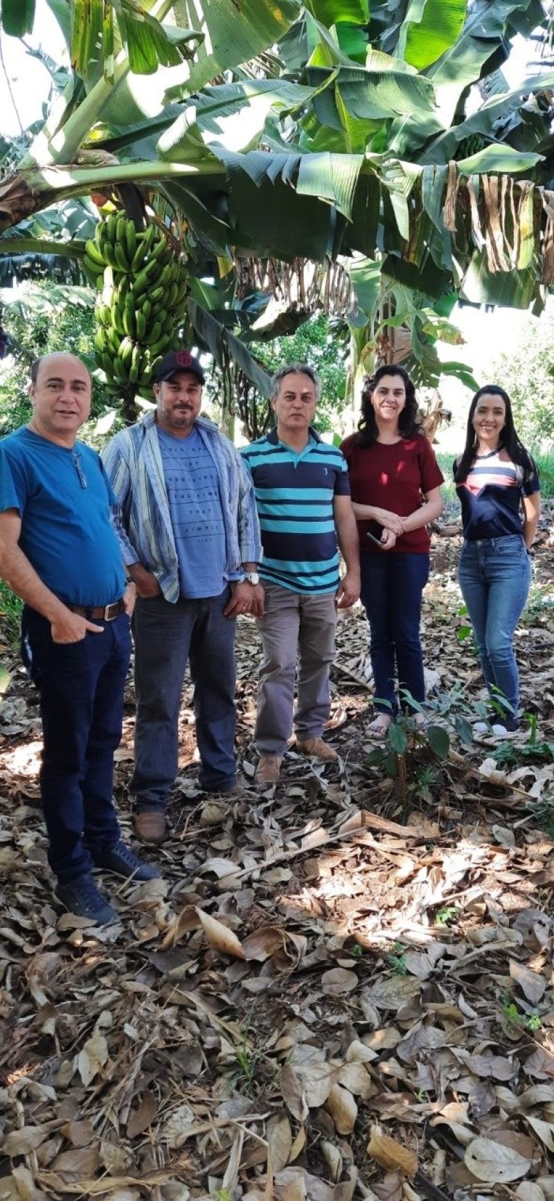 Educação de Araguari em Movimento