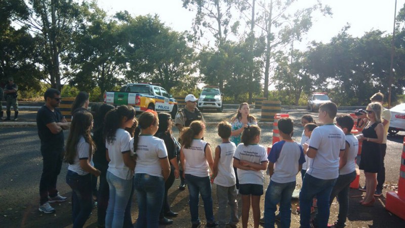 Semana Florestal termina com saldo positivo