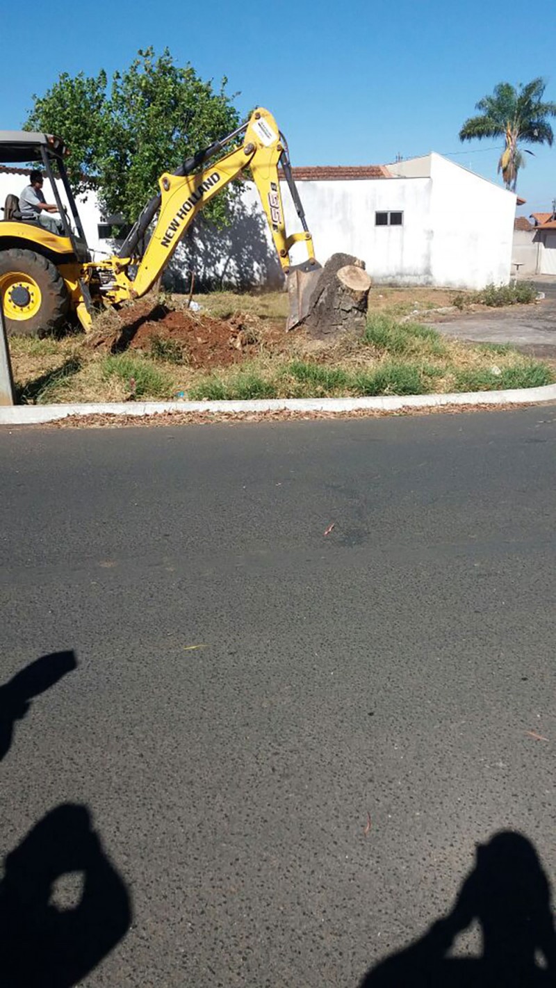 Prefeitura inicia operação para retirada de tocos de árvores