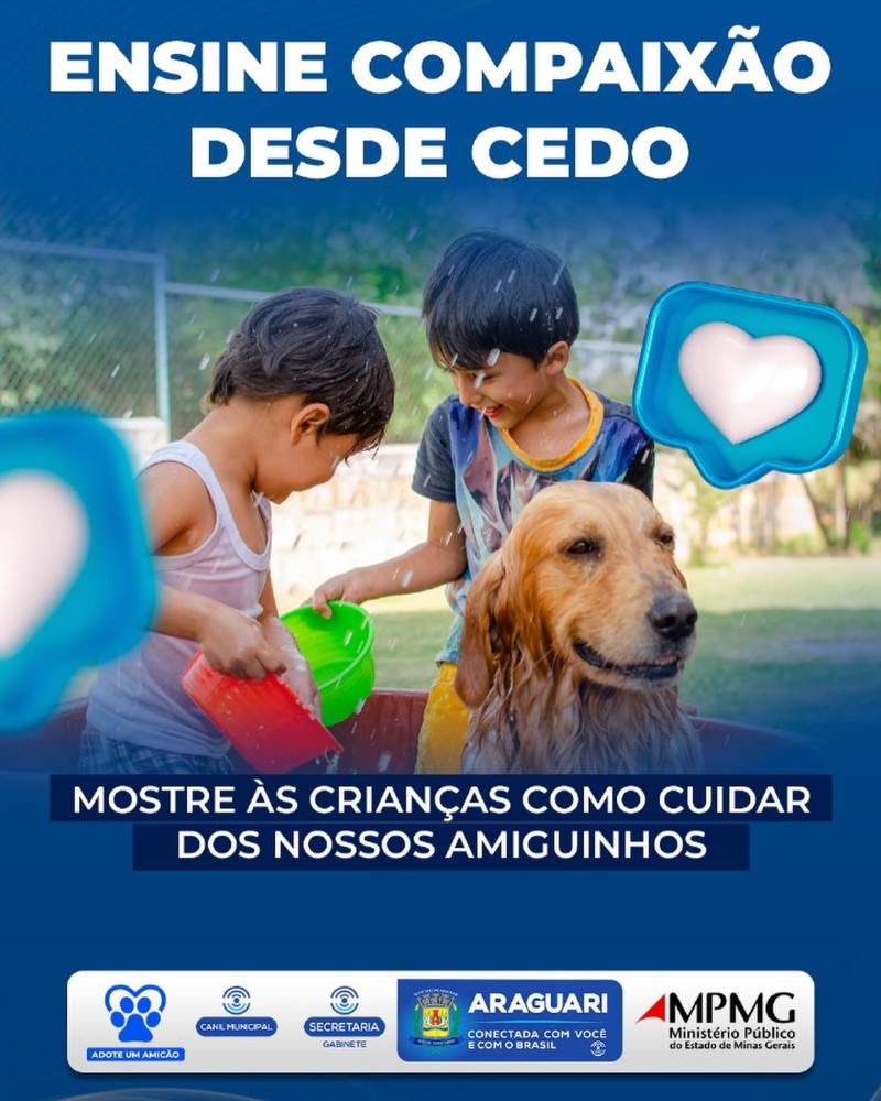 Adote um Amicão!
