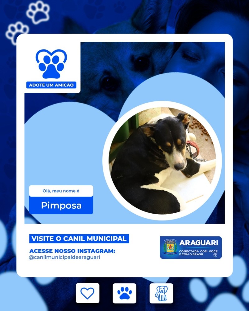 Adote um Amicão