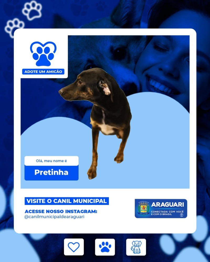 Adote um Amicão