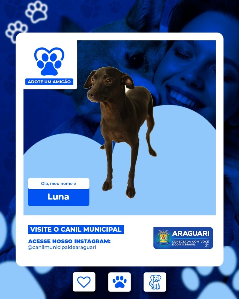 Adote um Amicão
