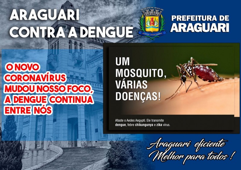 Combate ao mosquito Aedes aegypti