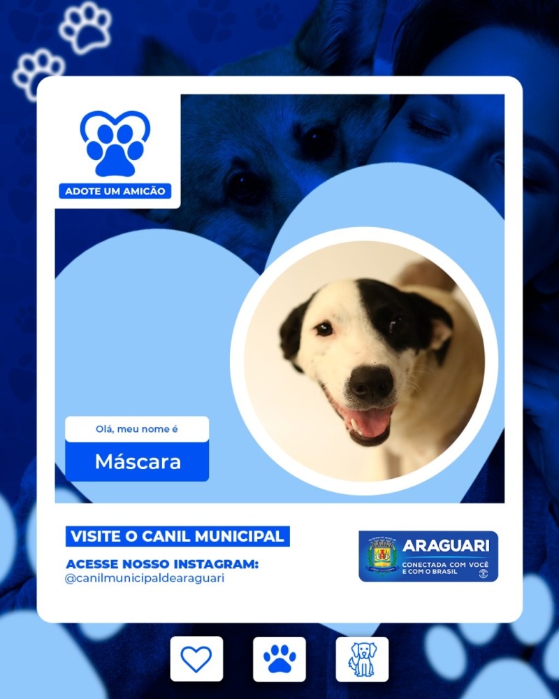 Adote um Amicão