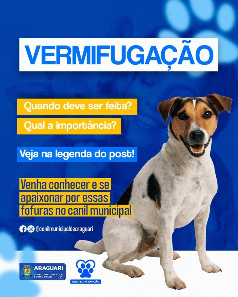 A vermifugação em cães e gatos é importante, pois, ela ajuda a proteger os animais das doenças causadas pelos vermes. 
