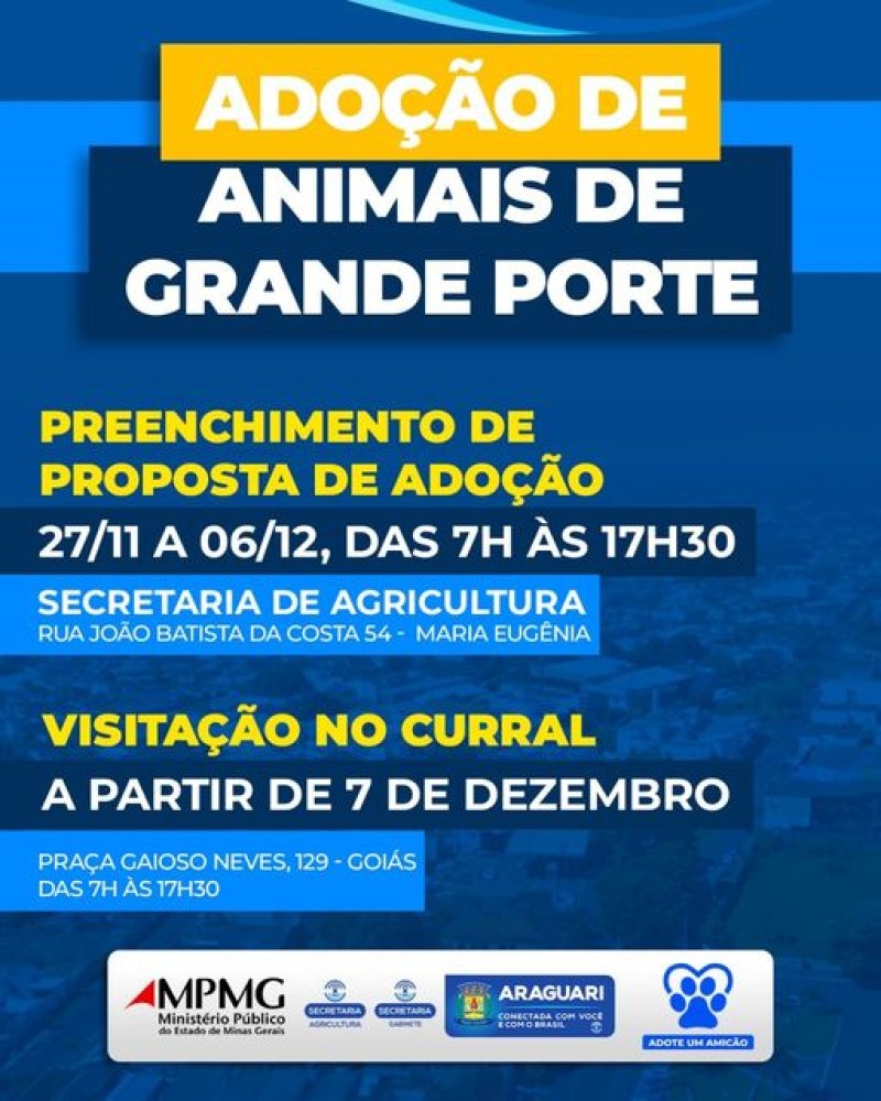 ADOÇÃO DE ANIMAIS DE GRANDE PORTE