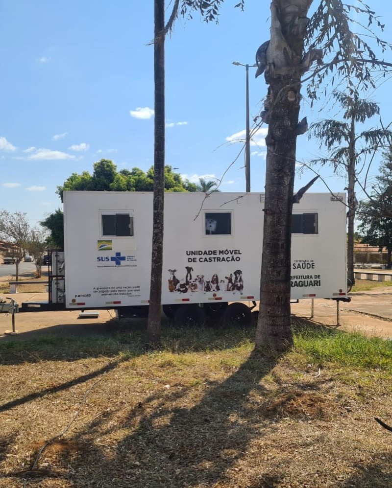 Prefeitura de Araguari inicia castração gratuita de cães e gatos
