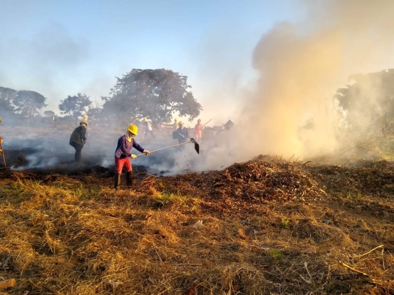 Curso de Brigadista Florestal é encerrado em Araguari