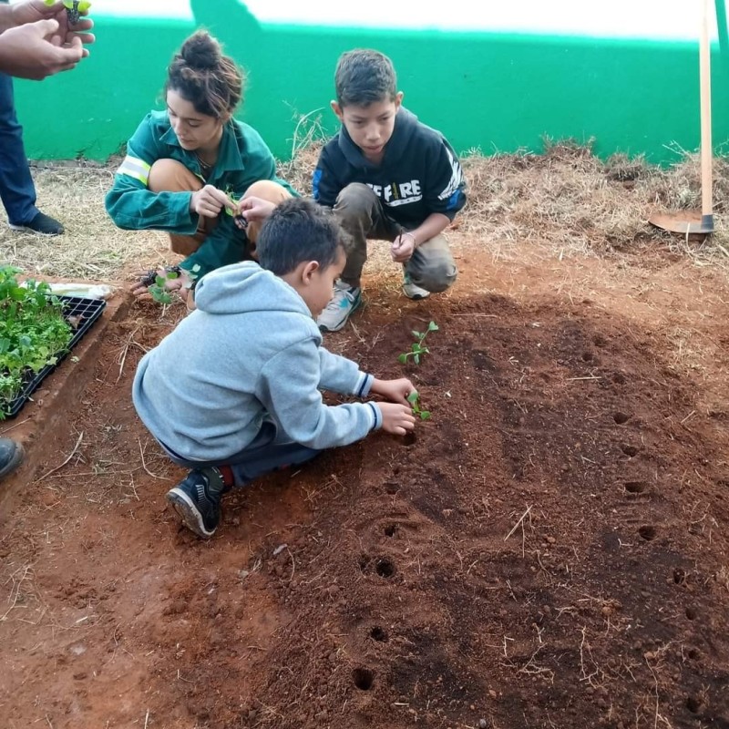 Educação de Araguari em Movimento