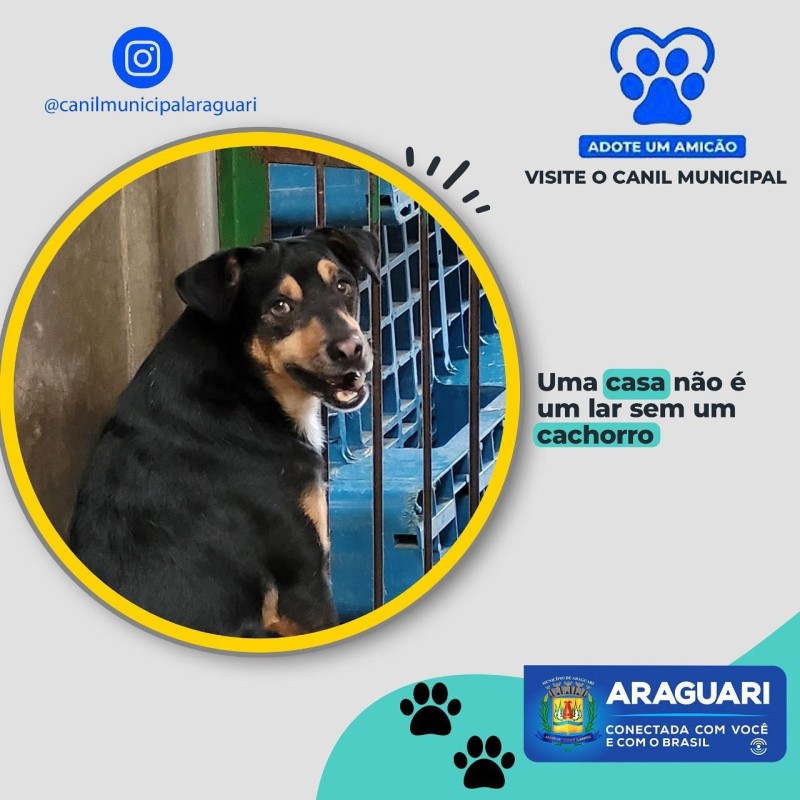 Motivos para adotar