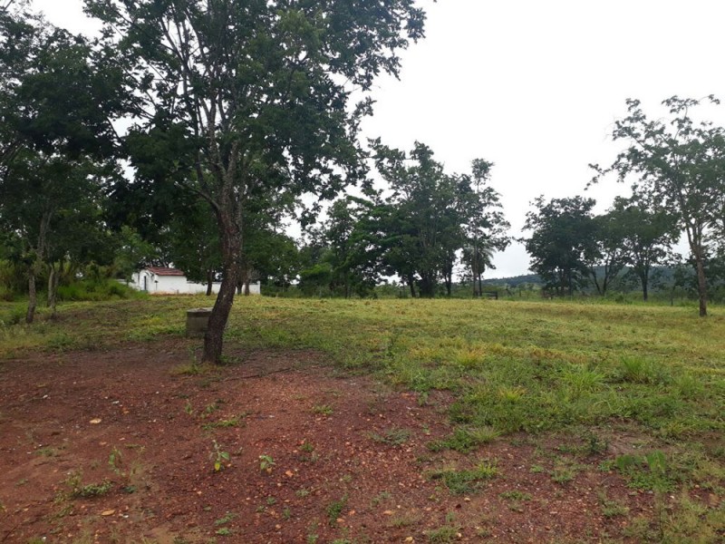 Prefeitura realiza mutirão de limpeza no distrito de Florestina