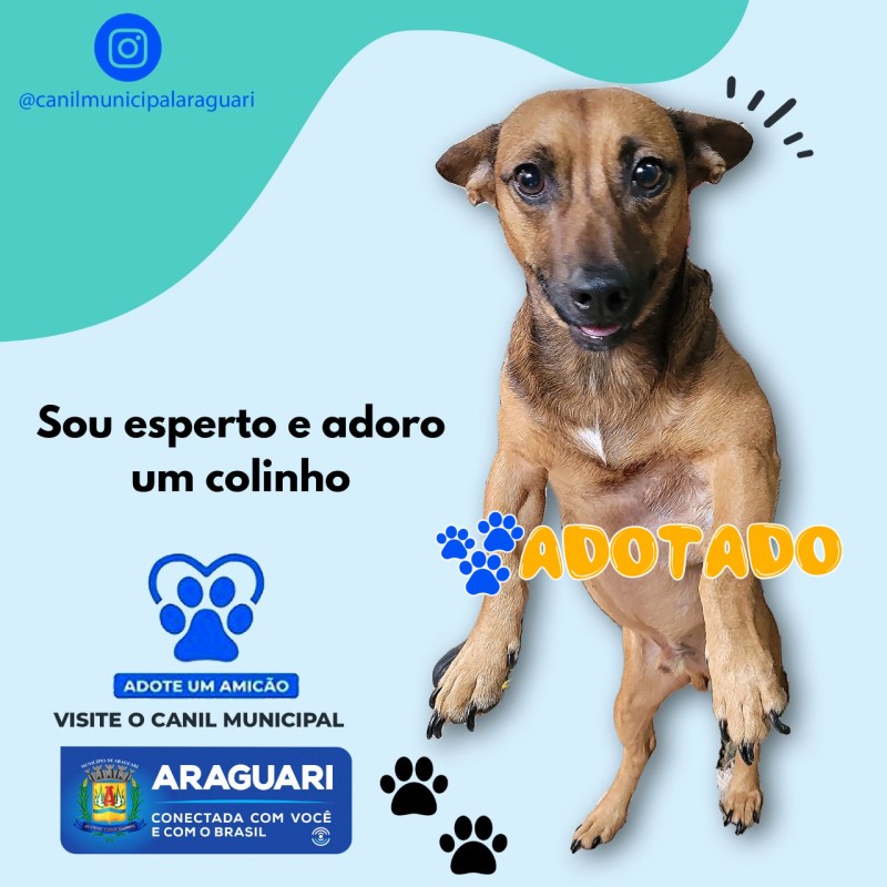 E o nosso Caramelo também ganhou uma nova família!
