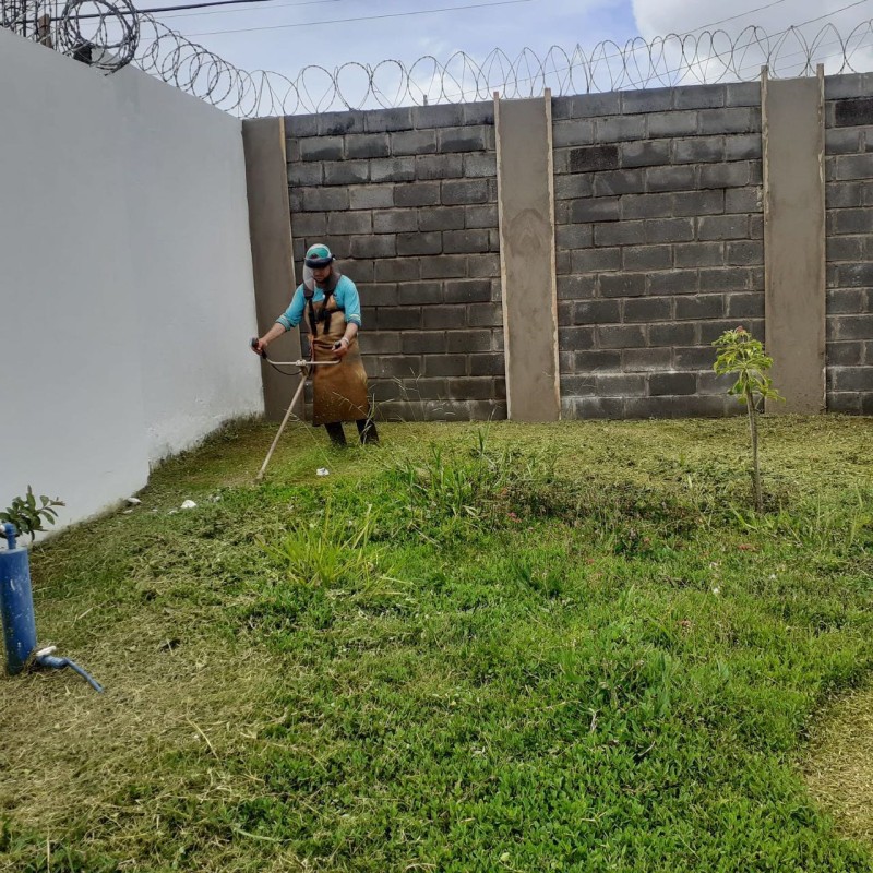 Escolas da Rede de Ensino Municipal de Araguari recebem serviços de poda e limpeza em Araguari