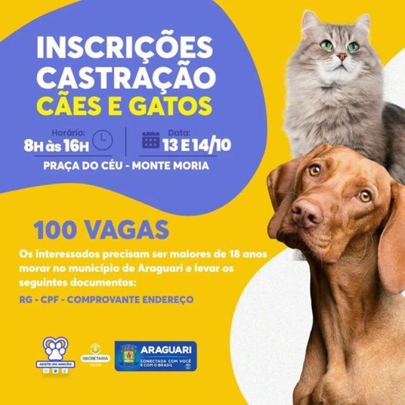 Prefeitura de Araguari abre inscrições para castrações de cães e gatos