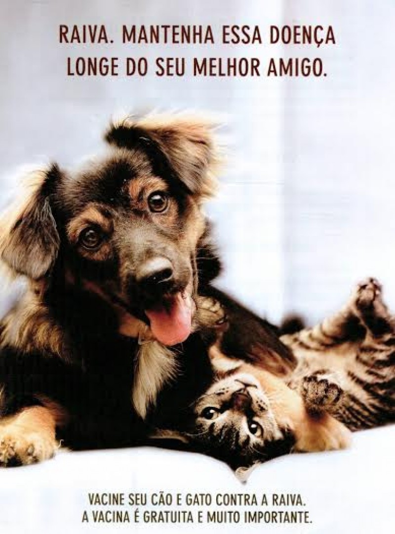 Araguari intensifica vacinação contra raiva animal no próximo sábado