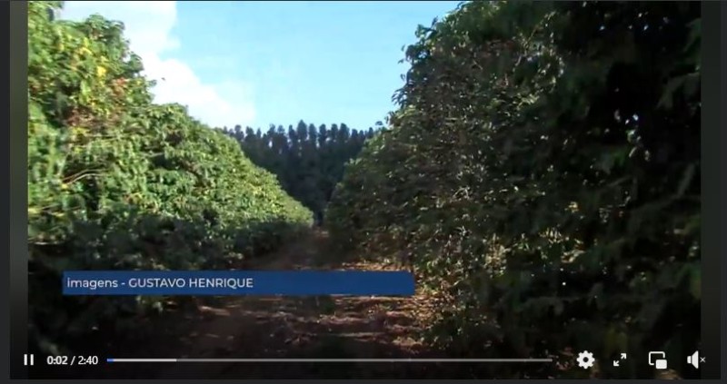 Reportagem especial sobre Café Agro no jornal da tv Paranaíba - Rede Record