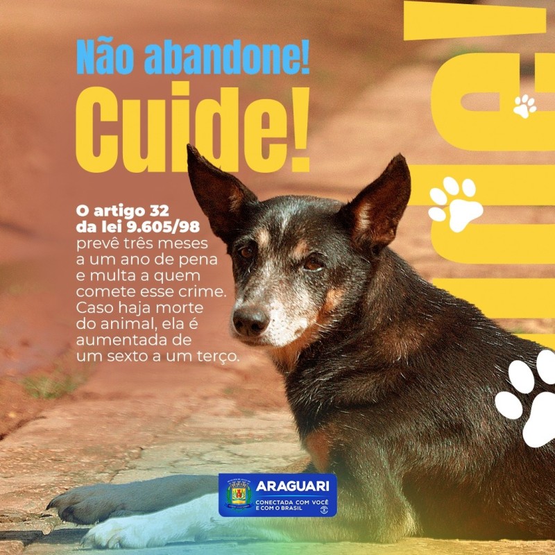 NÃO ABANDONE, CUIDE!