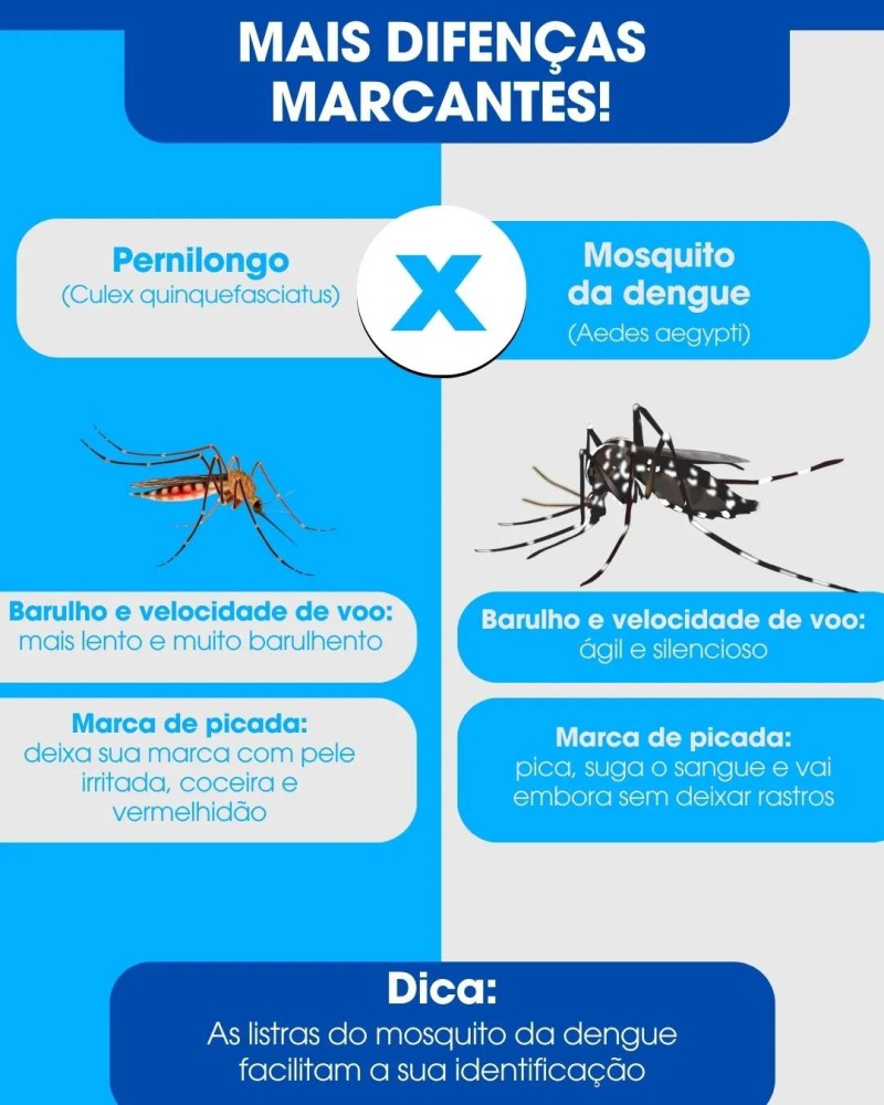 Araguari contra a Dengue