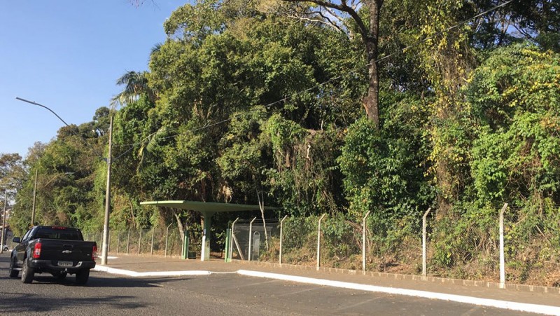 Bosque John Kennedy passa por limpeza no seu entorno   