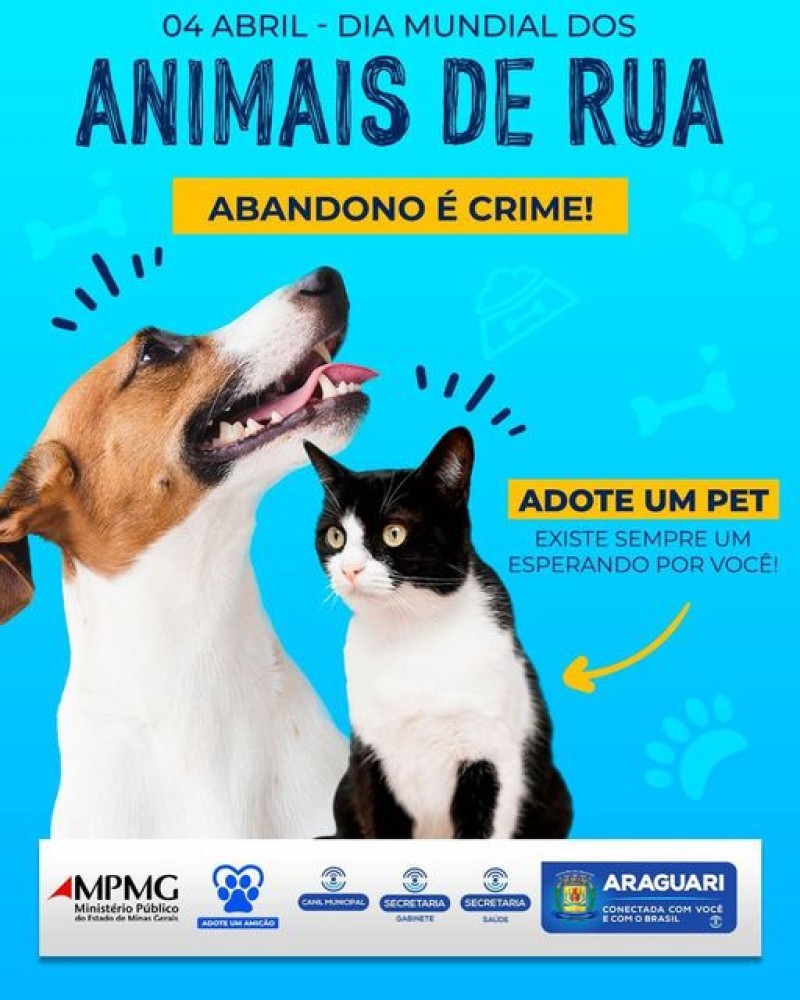 Abandono é crime! 