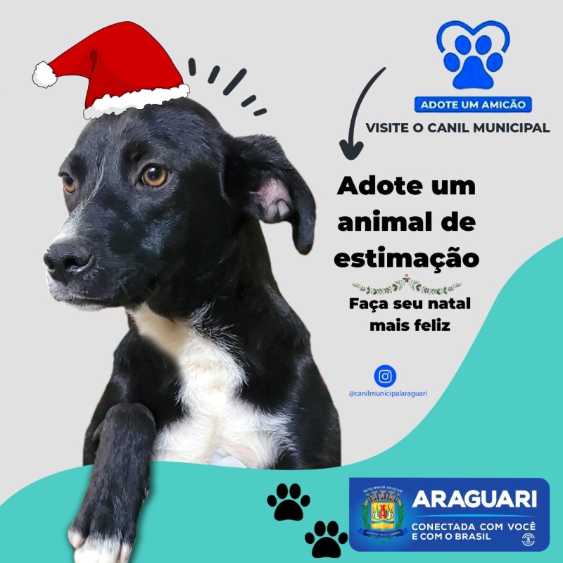 FAÇA SEU NATAL MAIS FELIZ