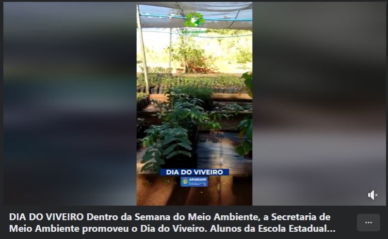 DIA DO VIVEIRO