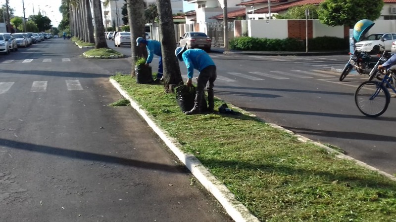 Prefeitura de Araguari emite ordem de serviço e avenidas passam por limpeza